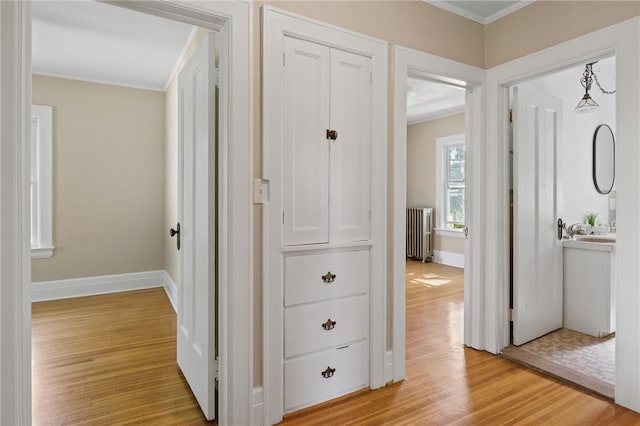 234 Pine Grove Ave, Irondequoit, NY 14617 - hallway featuring radiator, crown molding, and light wood-style flooring