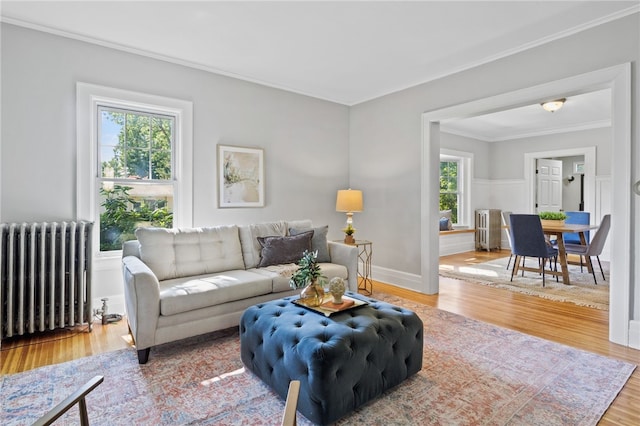 234 Pine Grove Ave, Irondequoit, NY 14617 - living room featuring radiator heating unit, wood finished floors, and ornamental molding