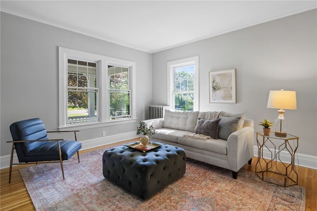 234 Pine Grove Ave, Irondequoit, NY 14617 - living area featuring radiator heating unit, crown molding, and wood finished floors