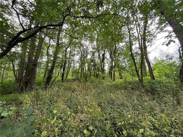 0 Broadway Rd, Alexander, NY 14005