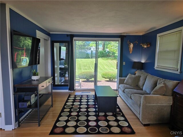 120 W Dauenhauer St, Manlius, NY 13057 - photo 12