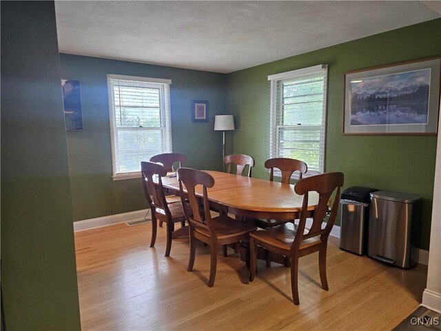 120 W Dauenhauer St, Manlius, NY 13057 - photo 15