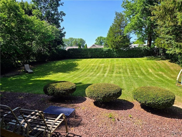 120 W Dauenhauer St, Manlius, NY 13057 - photo 19