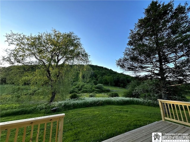 6064 Nys Rte 242 E, Ellicottville, NY 14731 - view of green lawn with a wooden deck and a forest view
