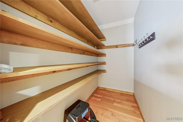 100 Hunt Club Cir, Amherst, NY 14051 - view of storage