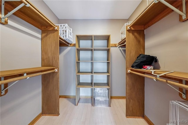 100 Hunt Club Cir, Amherst, NY 14051 - spacious closet with light wood finished floors
