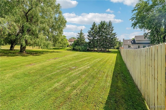 100 Hunt Club Cir, Amherst, NY 14051 - view of yard