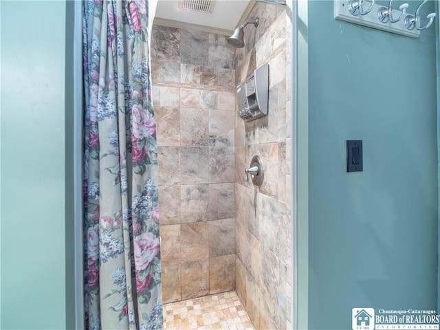 6295 Stockton Hartfield Rd, Chautauqua, NY 14728 - bathroom with a stall shower