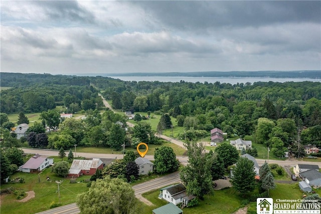 6295 Stockton Hartfield Rd, Chautauqua, NY 14728 - bird's eye view of a heavily wooded area and a nearby body of water