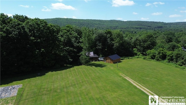 4397 County Road 16, Angelica, NY 14709 - photo 36