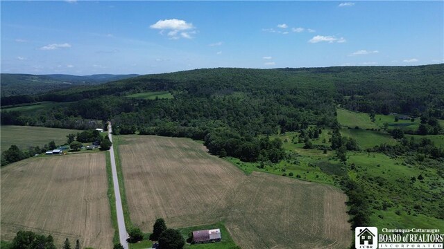 4397 County Road 16, Angelica, NY 14709 - photo 37