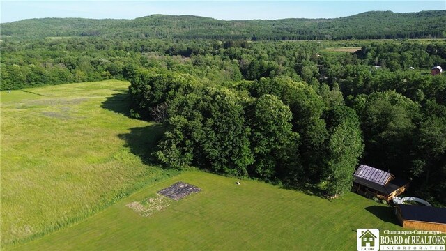 4397 County Road 16, Angelica, NY 14709 - photo 38