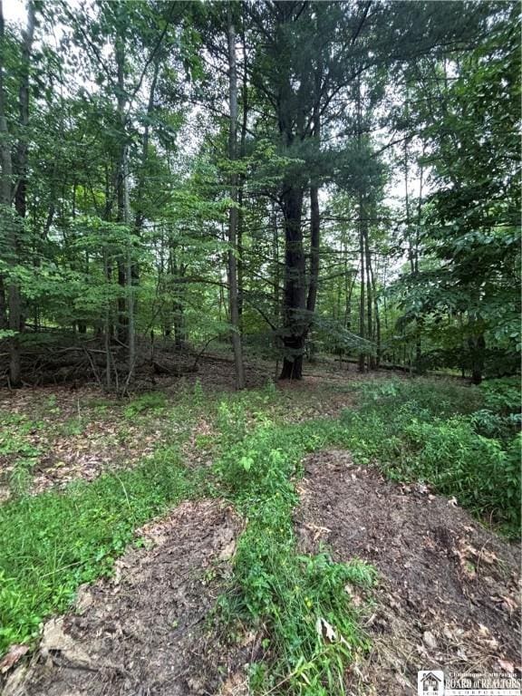 Sugar Hill Rd, Almond, NY 14804 - photo 38