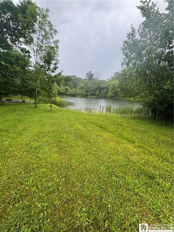 Sugar Hill Rd, Almond, NY 14804 - photo 27