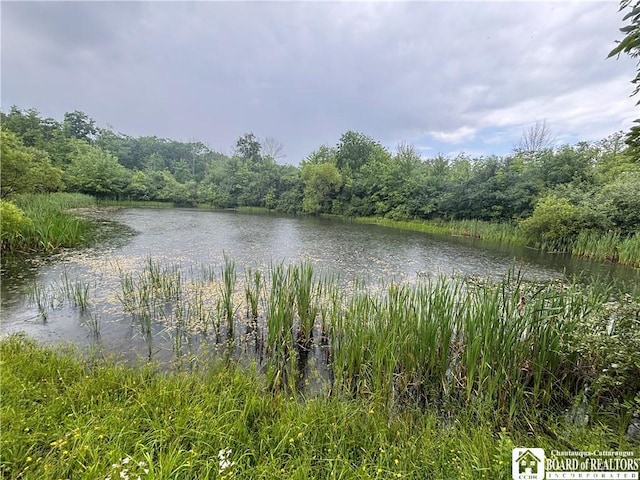 Sugar Hill Rd, Almond, NY 14804 - photo 29