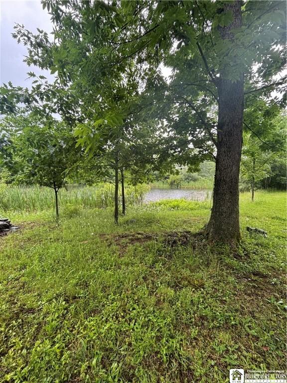 Sugar Hill Rd, Almond, NY 14804 - photo 30