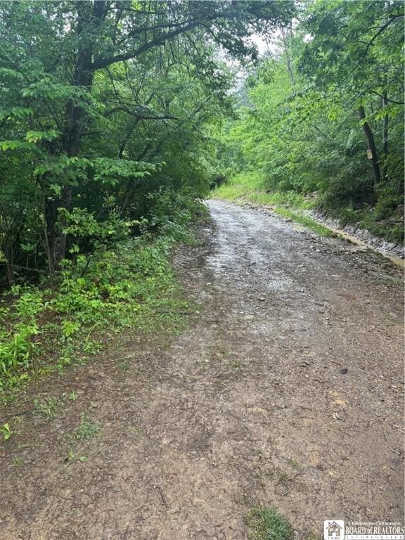 Sugar Hill Rd, Almond, NY 14804 - photo 33