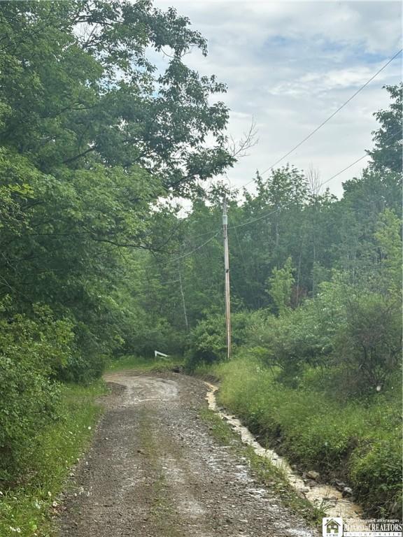Sugar Hill Rd, Almond, NY 14804 - photo 34