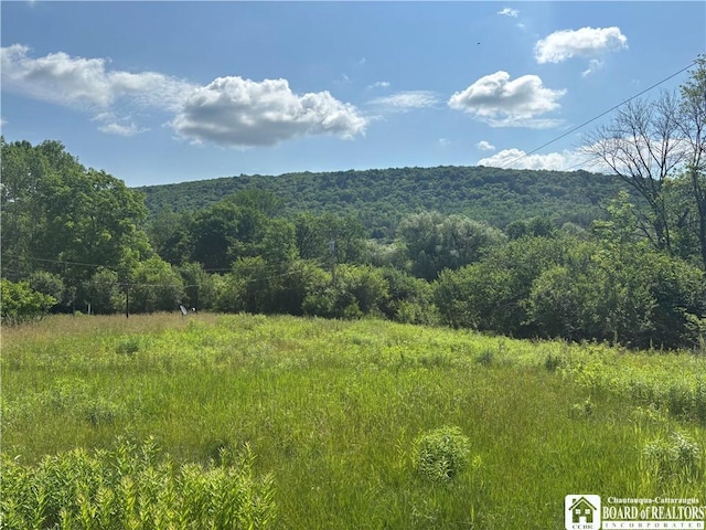 2710 County Road 9, Scio, NY 14880 - photo 28