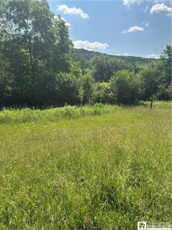 2710 County Road 9, Scio, NY 14880 - photo 29
