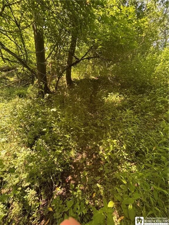 2710 County Road 9, Scio, NY 14880 - photo 32