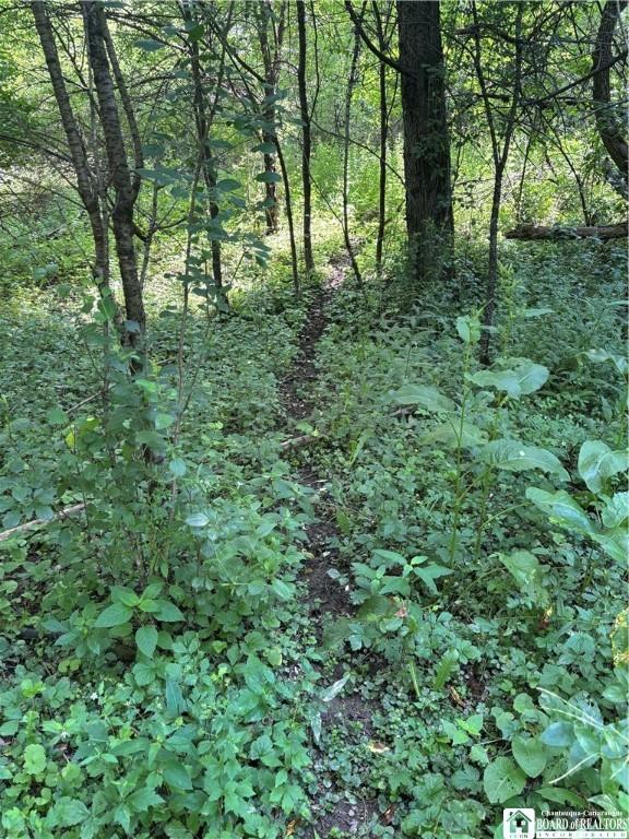 2710 County Road 9, Scio, NY 14880 - photo 33