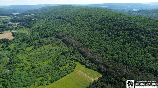 2710 County Road 9, Scio, NY 14880 - photo 42