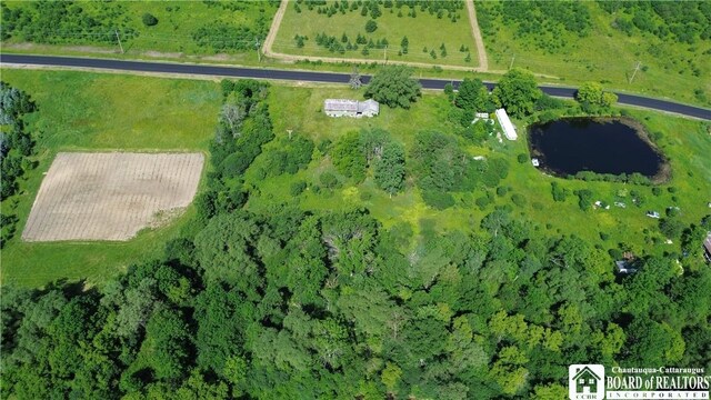 2710 County Road 9, Scio, NY 14880 - photo 45