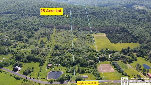 2710 County Road 9, Scio, NY 14880 - photo 2