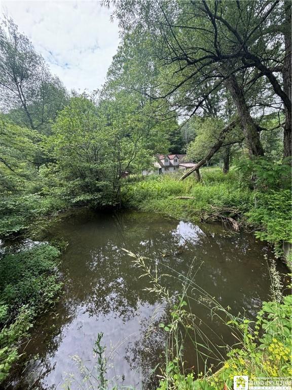 2045 Baxter Mills Rd, Ischua, NY 14743 - photo 12