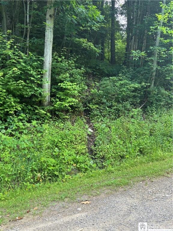 2045 Baxter Mills Rd, Ischua, NY 14743 - photo 13