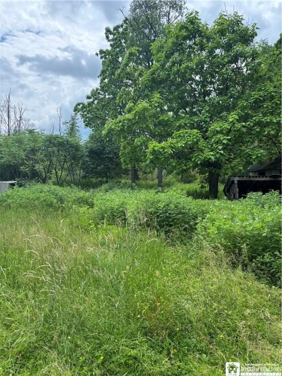 2045 Baxter Mills Rd, Ischua, NY 14743 - photo 14