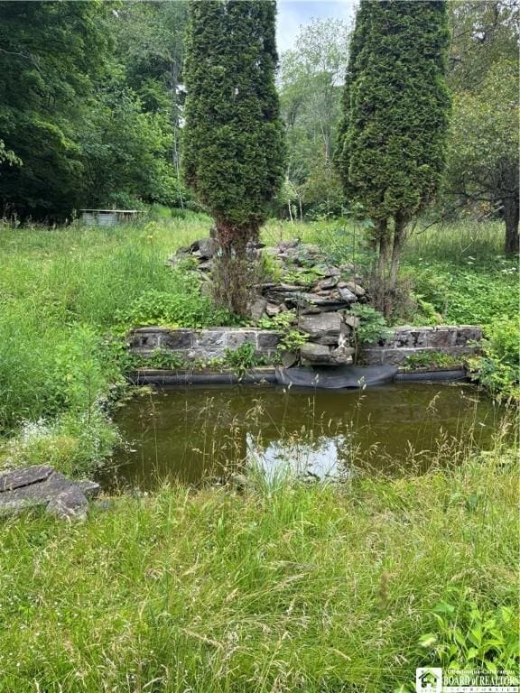 2045 Baxter Mills Rd, Ischua, NY 14743 - photo 17