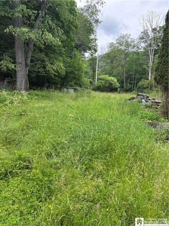 2045 Baxter Mills Rd, Ischua, NY 14743 - photo 18