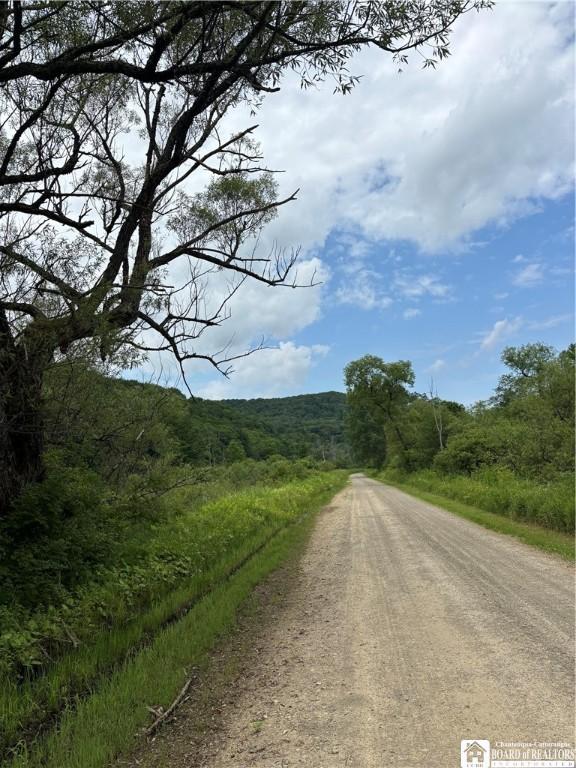 2045 Baxter Mills Rd, Ischua, NY 14743 - photo 19