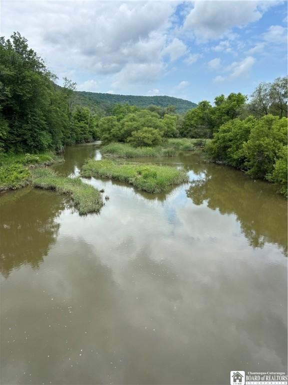 2045 Baxter Mills Rd, Ischua, NY 14743 - photo 21