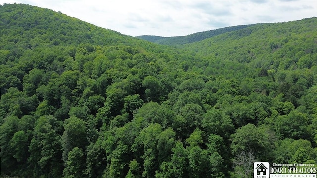 2045 Baxter Mills Rd, Ischua, NY 14743 - photo 27