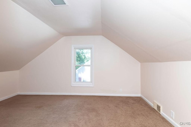 213 Roxann Ave, Cicero, NY 13212 - bonus room with carpet and vaulted ceiling