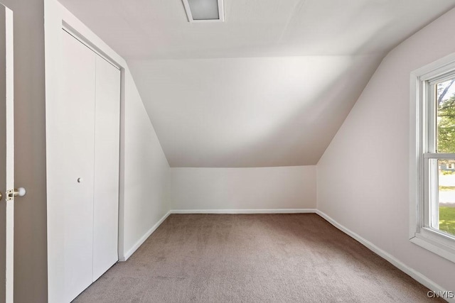 213 Roxann Ave, Cicero, NY 13212 - bonus room with vaulted ceiling, light carpet, and plenty of natural light