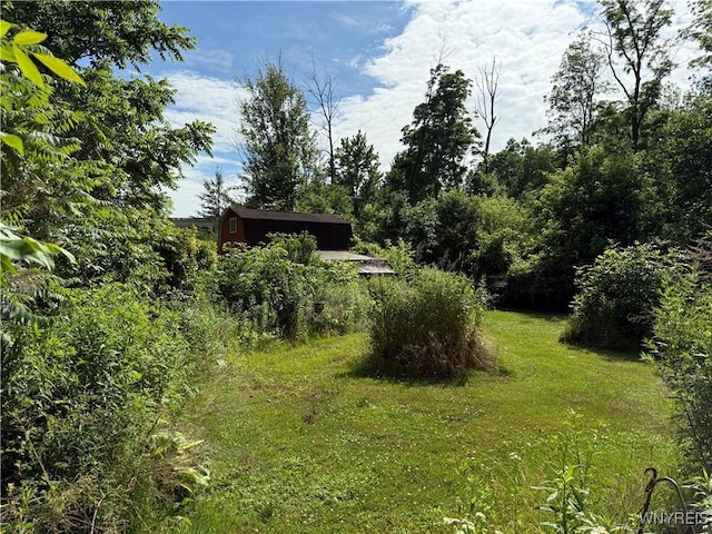 3902 Calkins Rd, Porter, NY 14174 - view of grassy yard