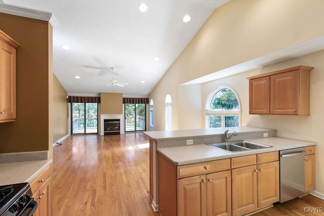 42 Nursery Ln, Syracuse, NY 13210 - kitchen with dishwasher, a fireplace, electric range oven, a peninsula, and light wood-type flooring