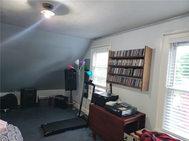 244 State Highway 320, Norwich, NY 13815 - carpeted office space featuring healthy amount of natural light and lofted ceiling