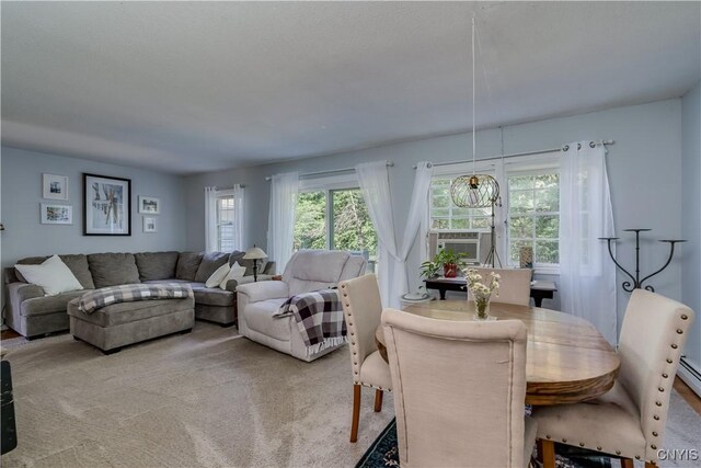 104 Mill Creek Ln, Hounsfield, NY 13685 - photo 17