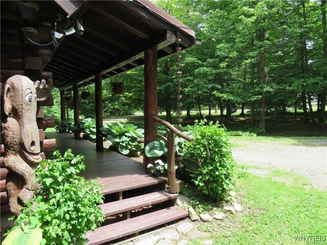 11050 Eden Rd, North Collins, NY 14111 - photo 5