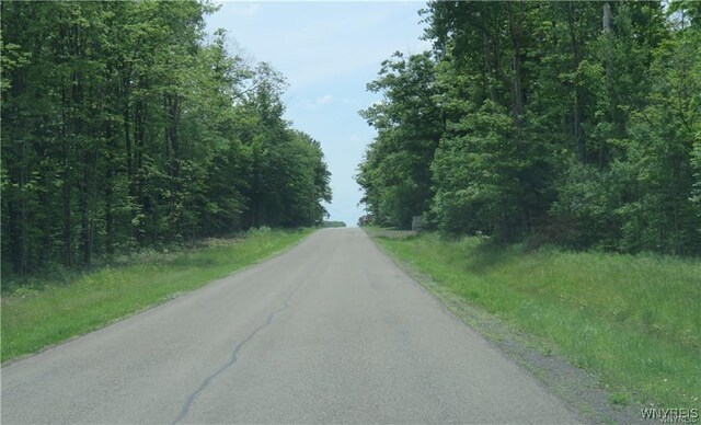 11050 Eden Rd, North Collins, NY 14111 - photo 47