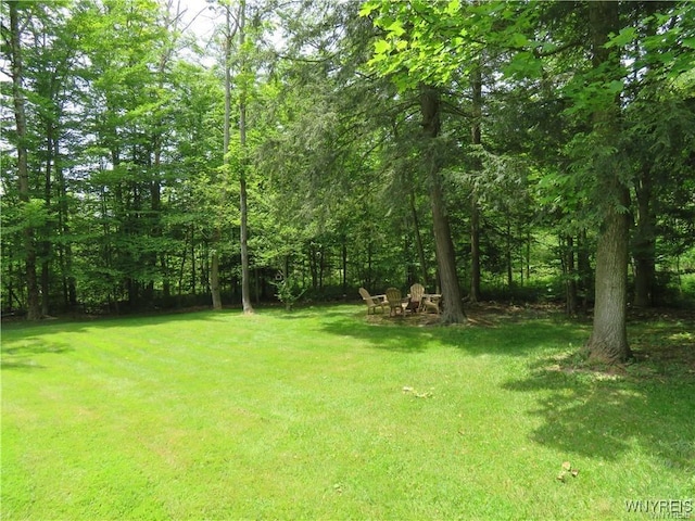 11050 Eden Rd, North Collins, NY 14111 - photo 7