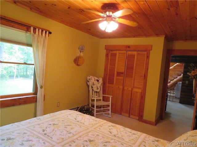 11050 Eden Rd, North Collins, NY 14111 - photo 36