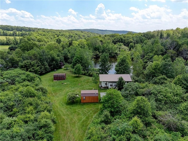 77027650 Faber Rd, Prattsburgh, NY 14873 - photo 2