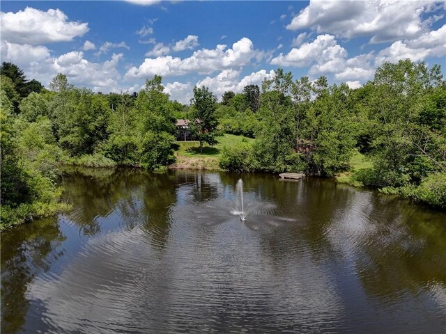 77027650 Faber Rd, Prattsburgh, NY 14873 - photo 19