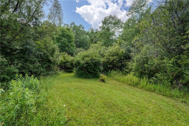 77027650 Faber Rd, Prattsburgh, NY 14873 - photo 35